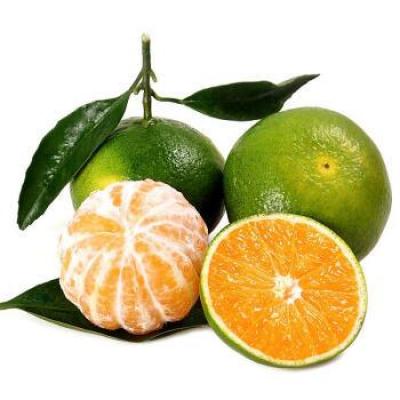 青皮橘子 5粒