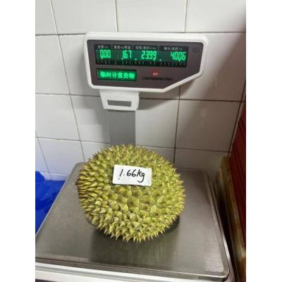 空运新鲜越南黑刺榴莲 实重 1.66kg（18.99/Per Kg)