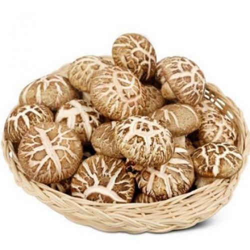 新鲜花菇 200g