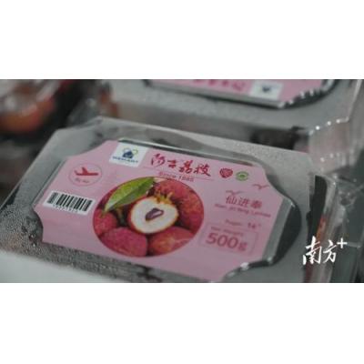 仙进奉荔枝 500g