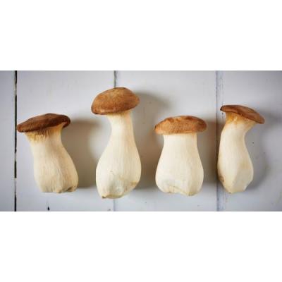 鸡腿菇 2个