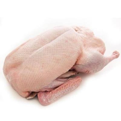 老鸭 1箱 （6只 大概2.2kg）