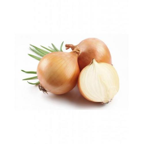 洋葱 per 500g