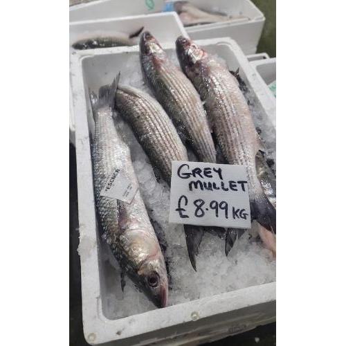 乌头鱼/鲻鱼（约800-1000g条） per kg *时令限定*