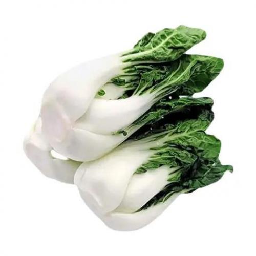 奶白菜 250g